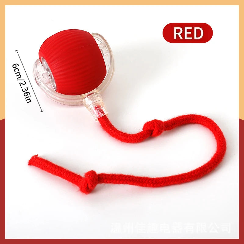 Smart Electronic Jumping Ball Pet Toy – USB Rechargeable, Auto-Moving