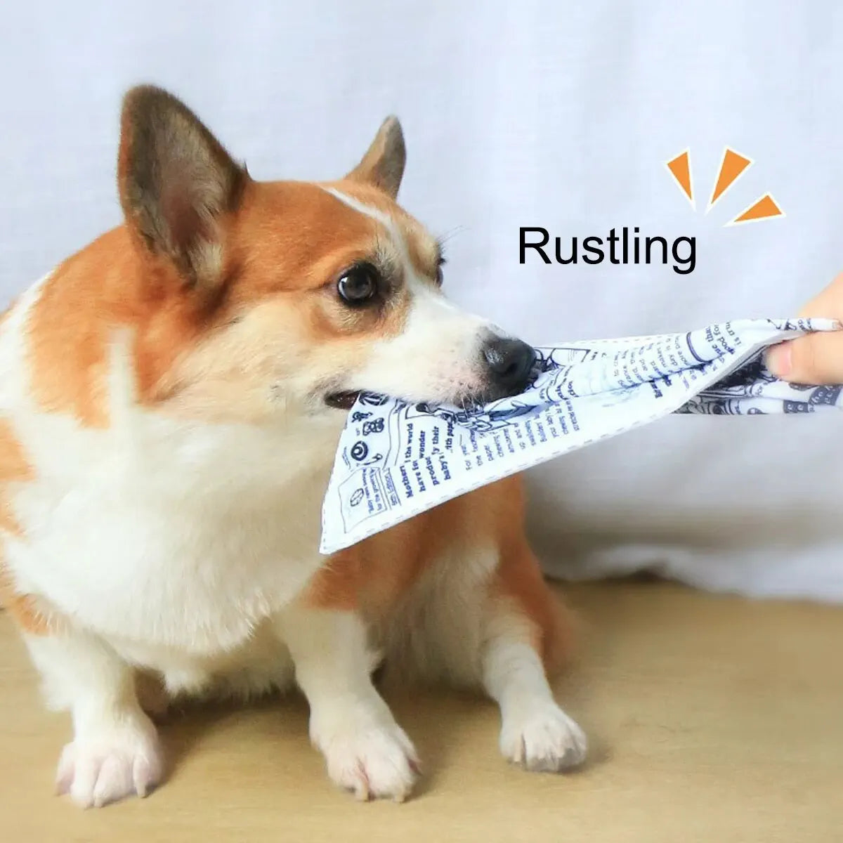 1pc Tearproof Pet Dog Sound Toy Simulated Squeaking Newspaper Playingcard K Q J Teeth Resistant Corgi Teddy Puppy Interactive